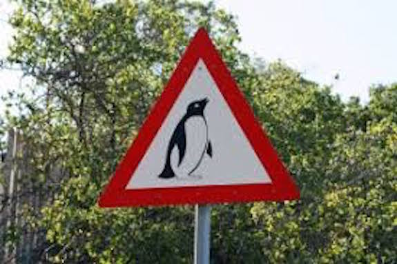 Verkehrsschild Achtung Pinguine
